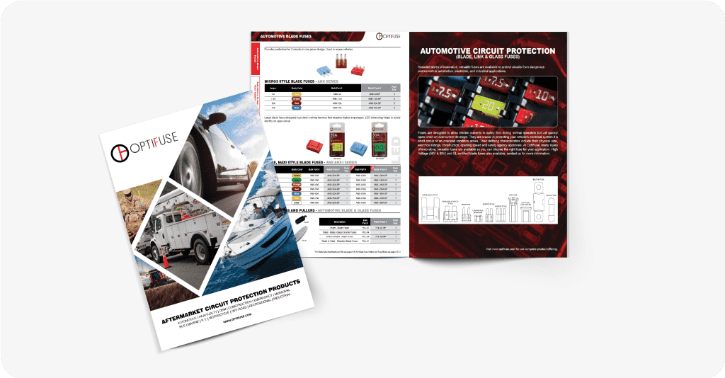 Catalog Release