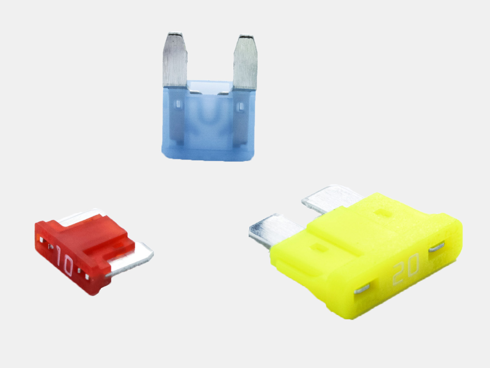 A display of automotive blade fuses showing Micro3, Micro2, Mini, Standard, and Maxi sizes for easy comparison and identification.